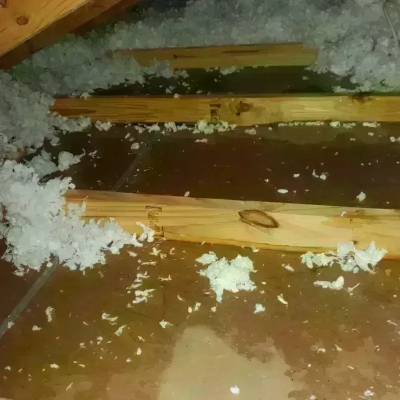 Attic Water Damage in Goldsboro, NC