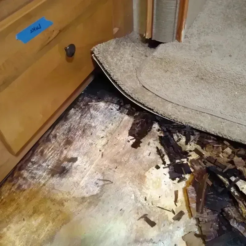 Best Wood Floor Water Damage Service in Goldsboro, NC